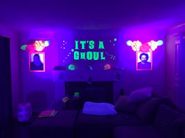 Rent Black Lights! #1 Rated + Free Shipping